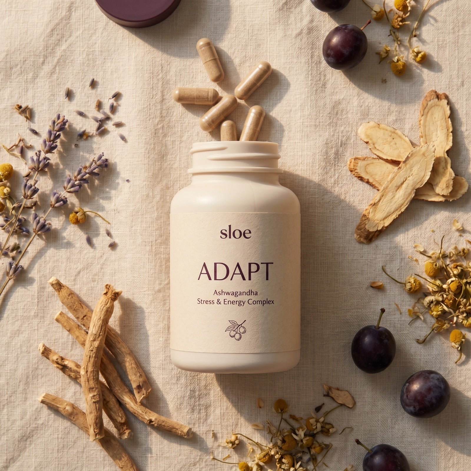 ADAPT ingredients
